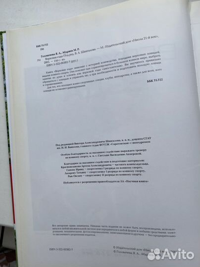 «Верховая езда» Яна Головачева, Мансур Абдряев