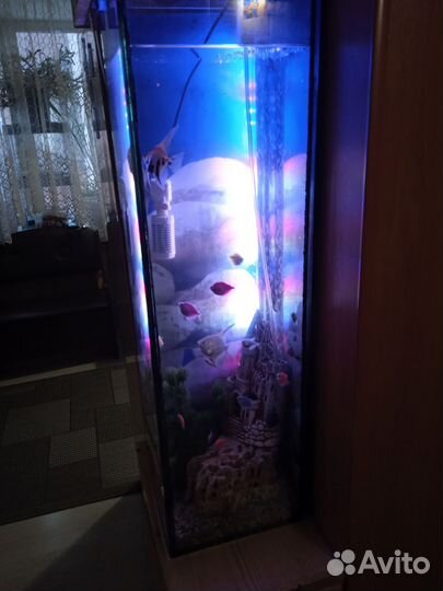 Аквариум 70 литров