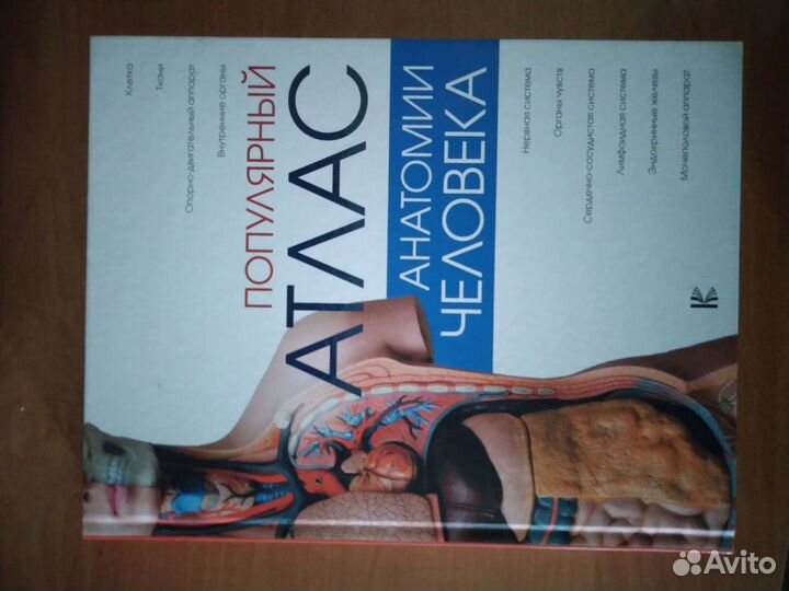 Анатомический атлас