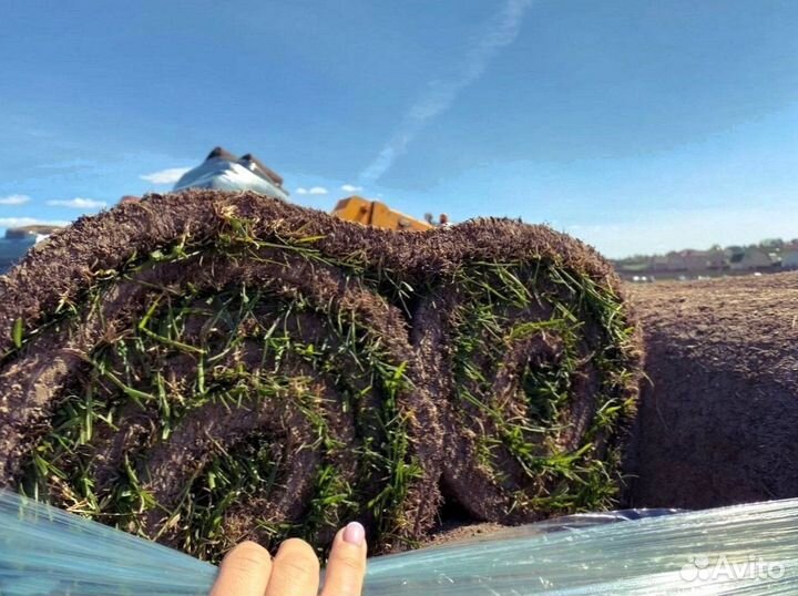 Рулонный газон с укладкой от производителя