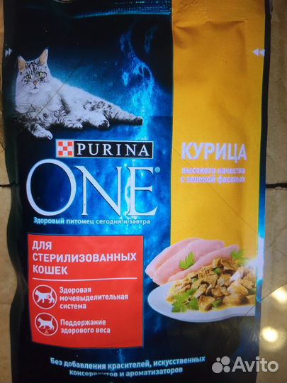 Влажный корм для кошек