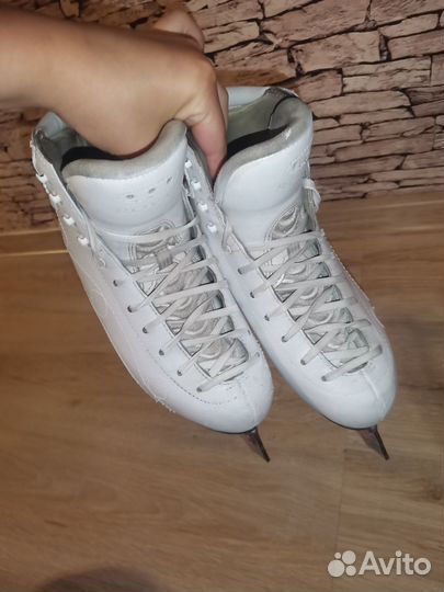 Risport Royal Super 240