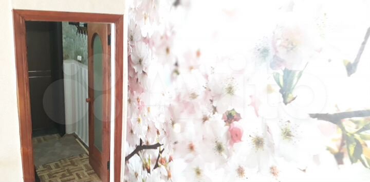 1-к. квартира, 25,1 м², 1/2 эт.