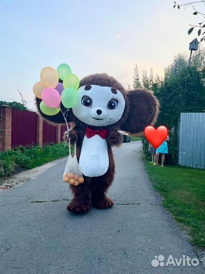 Белый мишка и Супер Жорик, Авторская программа