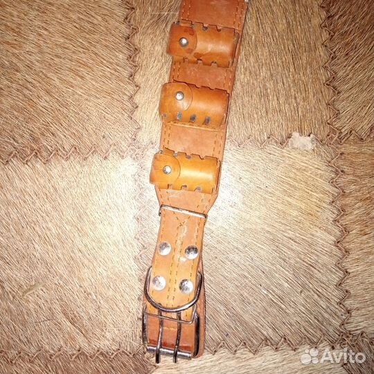 Ошейник для крупной собаки