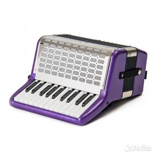 Weltmeister Kinderakkordeon 22/II/12/II Violet