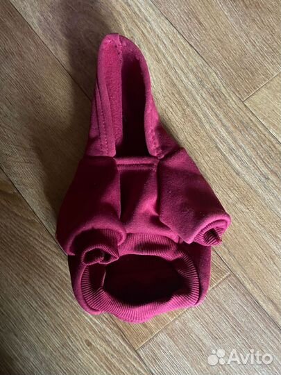 Одежда для мини йорка