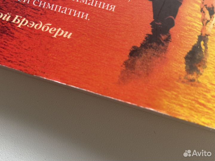 Куда приводят мечты