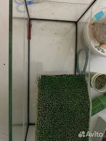 Аквариум для маленьких черепах