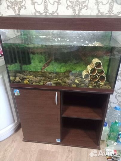 Аквариум