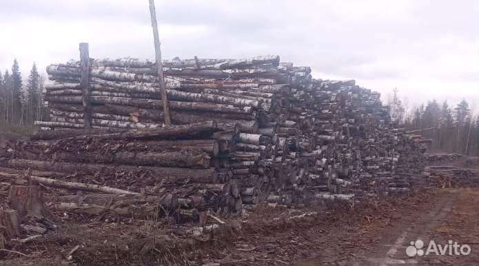 Дрова березовые