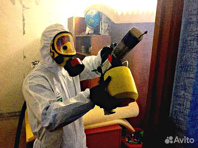 Уничтожение клопов, тараканов, мышей, плесени