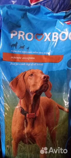 Корма для собак и кошек оптом