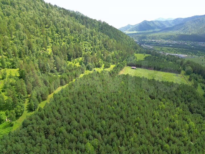 Участок 70,8 сот. (СНТ, ДНП)