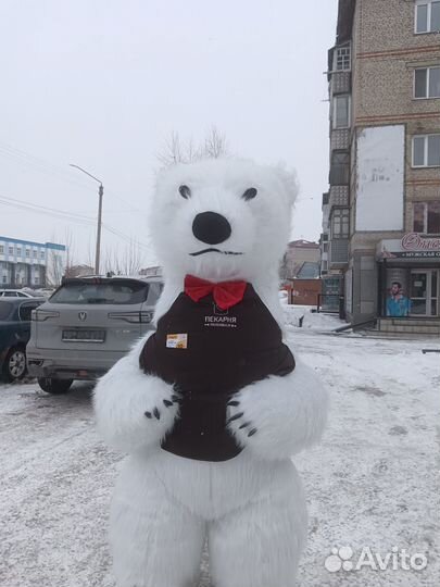 Поздравления от Потапыча, Микки и Минни Маус