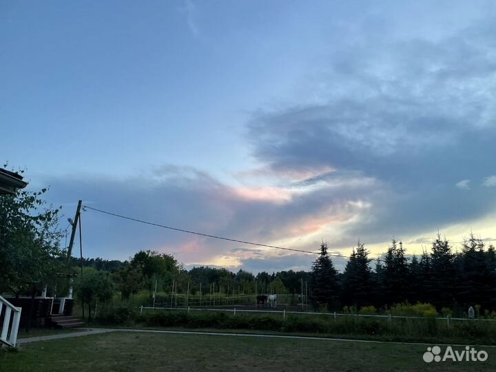 Постой для лошадей