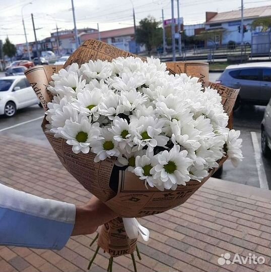 Хризантема Доставка цветов Букеты