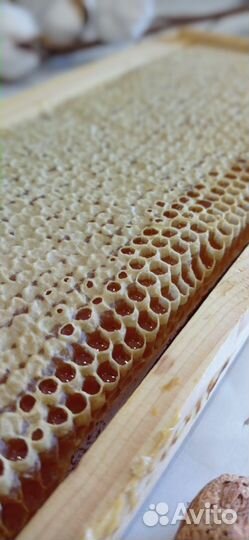 Мёд в сотах Алтайский