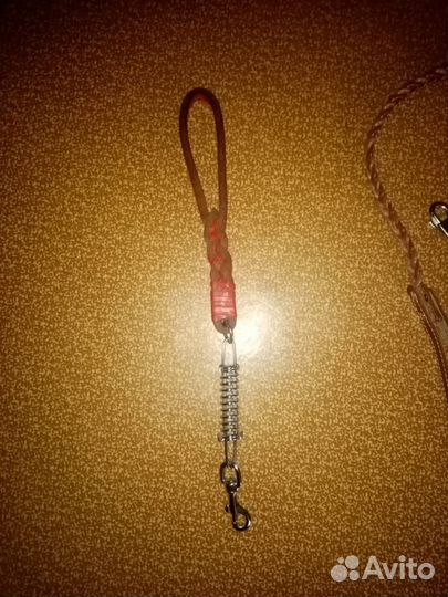 Поводок для собак