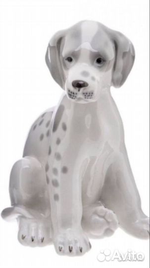 СССР лфз Щенок мраморного дога 60-80 годы