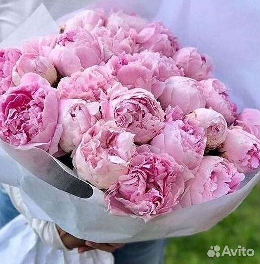 Пионы Букеты Цветы Доставка
