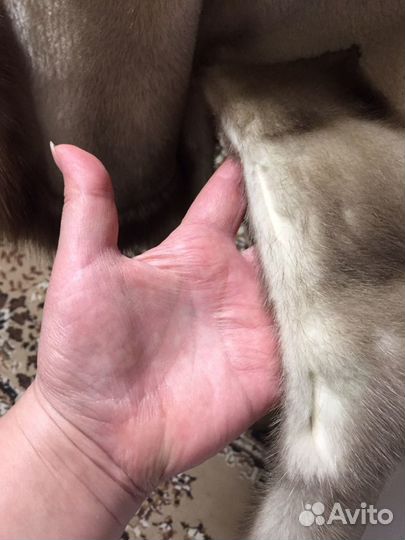 Ремонт шуб,перекрой из натурального меха