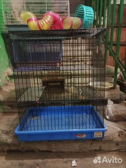 Клетка для грызунов бу