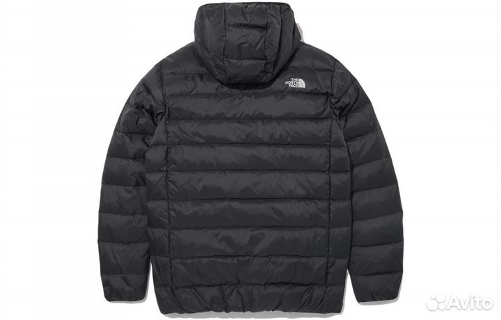 THE north face Down Jacket Women's Black (L)(83)