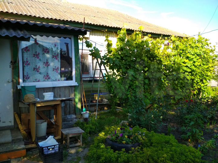 Дом 60 м² на участке 50 сот.