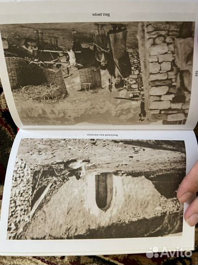 Посемейные списки жителей чеченских селений 1905 г