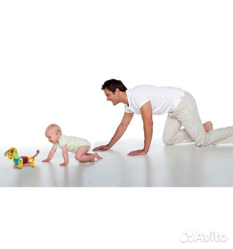 Игрушка Tiny Love «Догони меня: Собачка Фрэд»