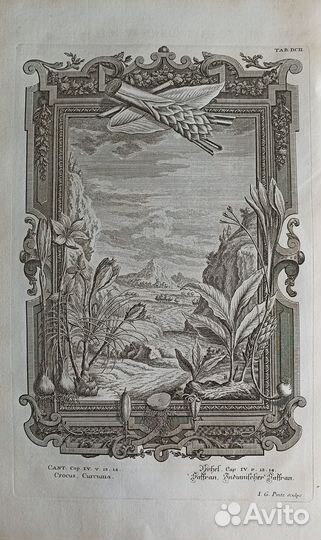 Большие Антикварные гравюры Швейцария 1731