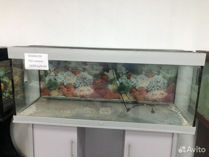 Аквариумы
