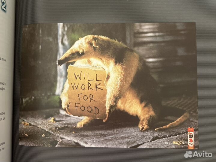 Реклама и продвижение бренда