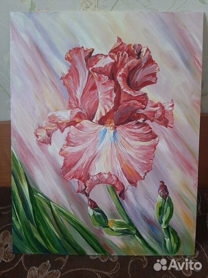 Ирис картина маслом на холсте
