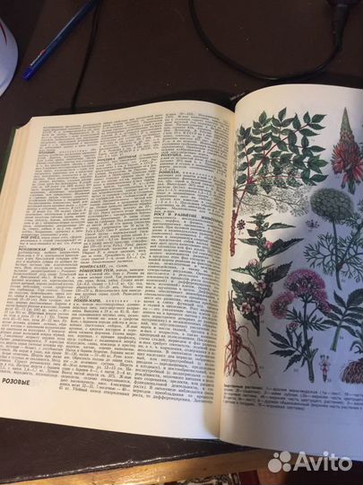 Энциклопедия