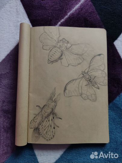 Репетитор по рисованию для детей