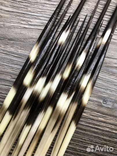 Игла дикобраза