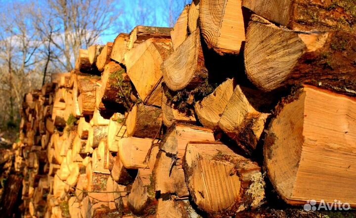 Дрова для бани