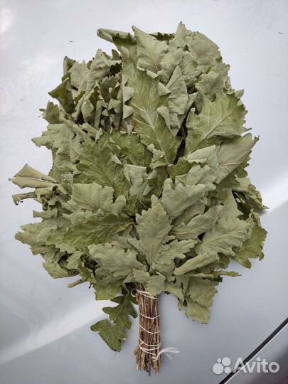 Веники для бани, берёза, пихта, травы