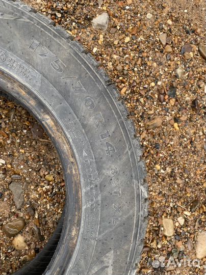 Nokian Tyres Nordman 7 175/70 R14