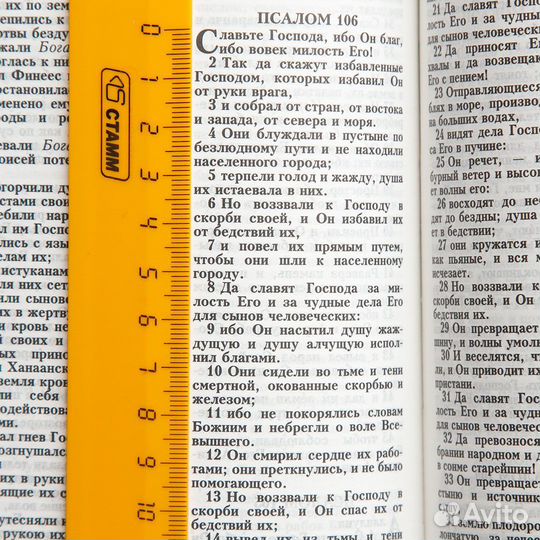 Библия. Синодальный перевод