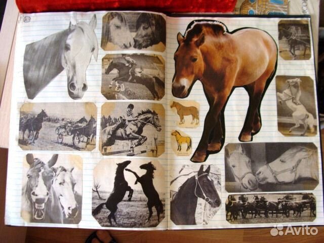 Пособия для чтения