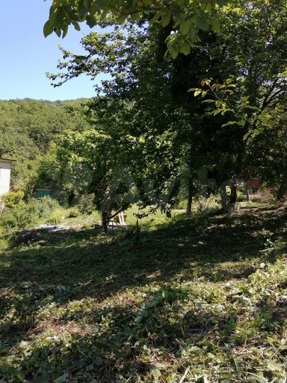 Участок 31 сот. (СНТ, ДНП)