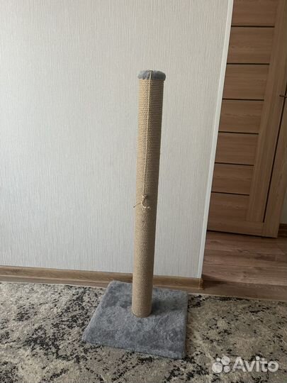 Когтеточка для кошек