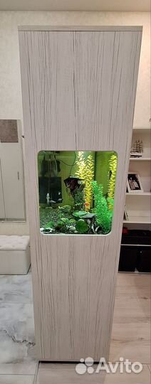 Аквариум с тумбой 200 литров