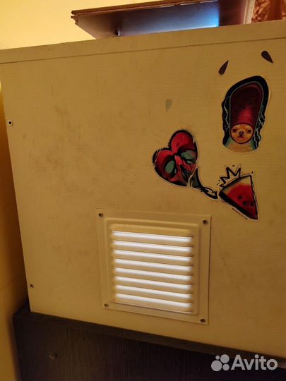 Бородатая агама с террариумом