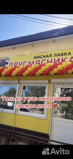 Продам мясо говядина