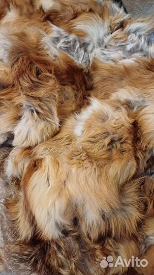 Мех рыжей лисы покрывало из меха лисы