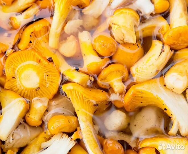 Грибы сушёные и солено-отварные